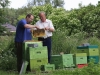 Imker und Landwirt im GesprÃ¤ch, BauernZeitung und Bienenjournal